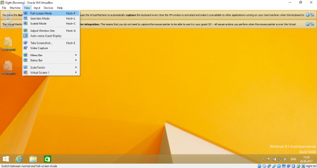 how to make virtualbox full screen